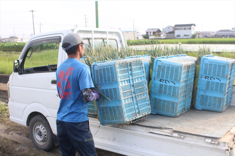 大阪府泉南市兎田の山下物産株式会社